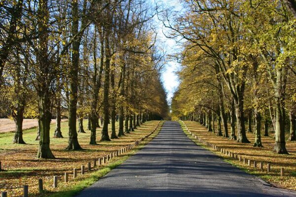 The Lime Tree Avenue, two miles long, with 1,296 common lime, the longest of its kind in Europe, was planted in 1840