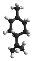Model kroglic in paličic izomera R