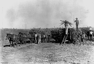 <span class="mw-page-title-main">South Isis</span> Suburb of Bundaberg Region, Queensland, Australia