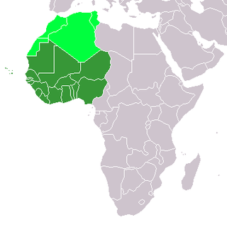 <span class="mw-page-title-main">History of West Africa</span> The History of the West African subregion of the African continent