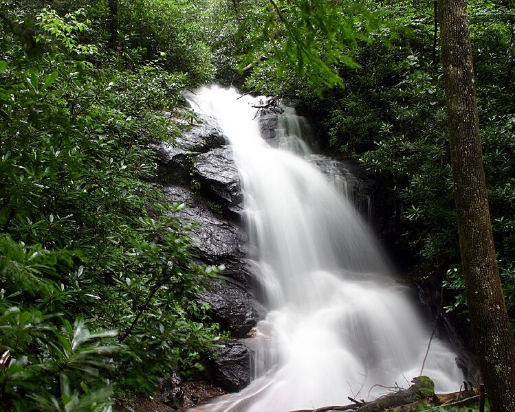 File:Log Hollow Falls.jpg