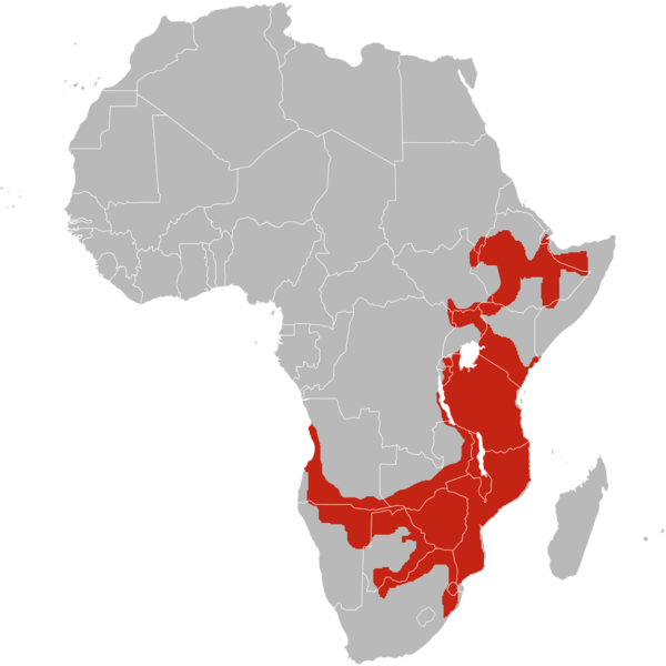File:Long-tailed paradise whydah range map.png