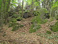 Čeština: Přírodní památka Loupensko. Okres Klatovy, Česká republika. English: The natural monument of Loupensko near Klatovy in the Czech Republic.