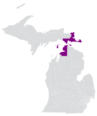 <span class="mw-page-title-main">Michigan's 107th House of Representatives district</span> American legislative district