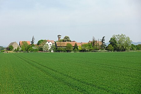 Mannheim Straßenheim 2020 04 24