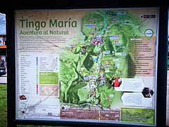 Mapa turístic de Tingo María a l'Alameda Perú.jpg