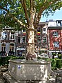 image=File:Marienbrunnen_(2).jpg