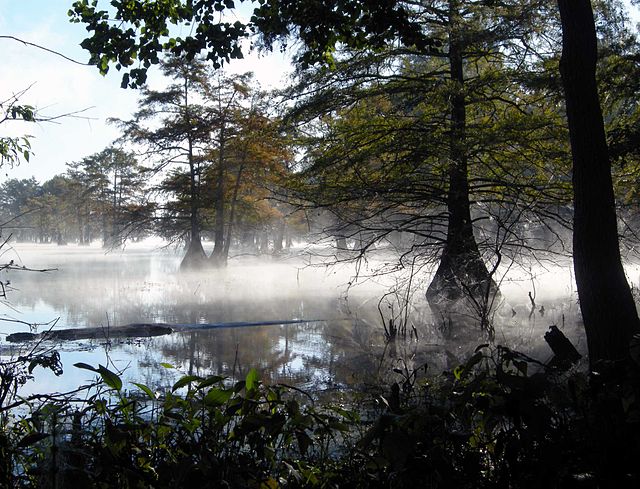 Steinhagen Reservoir - Wikipedia