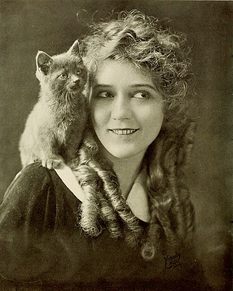 Mary Pickford, 1916