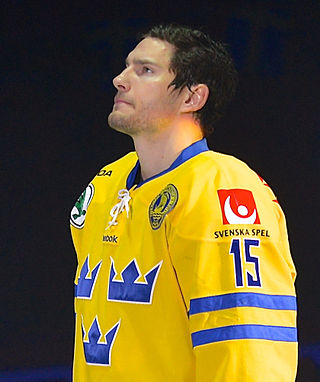 <span class="mw-page-title-main">Mattias Sjögren</span> Swedish ice hockey player