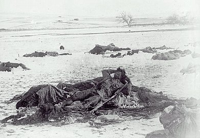 Photograph sold as being that of the Medicine Man "Yellow Bird"; the presence of the rifle however suggests that it is actually the body of "Black Coyote"