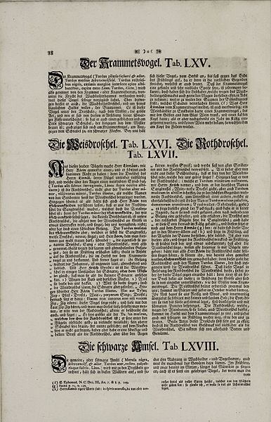 File:Meyer Zeit-Vertreib 2 S18.jpg