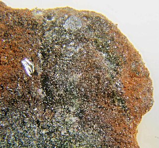 <span class="mw-page-title-main">Minnesotaite</span> Iron silicate mineral