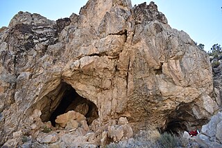 <span class="mw-page-title-main">Mitchell Caverns</span> Caves in California, United States