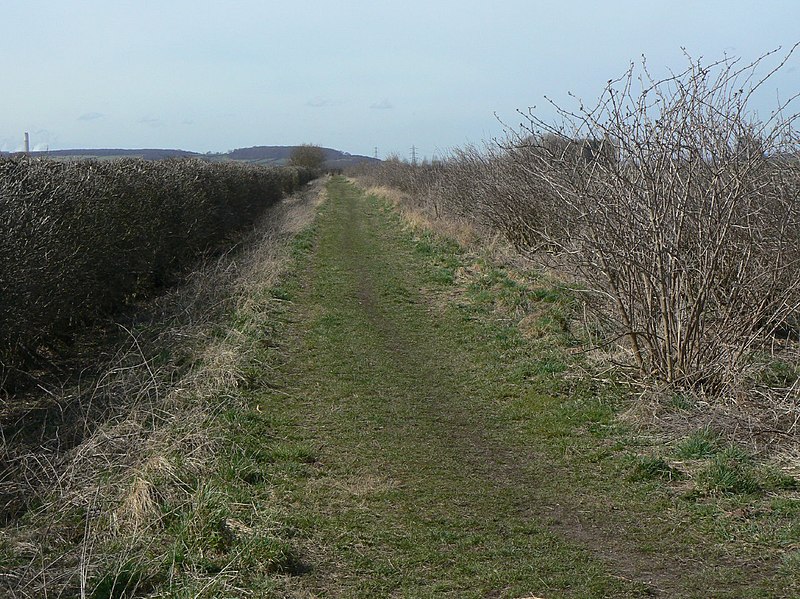 File:Moor Lane, Bradmore - geograph.org.uk - 1771514.jpg