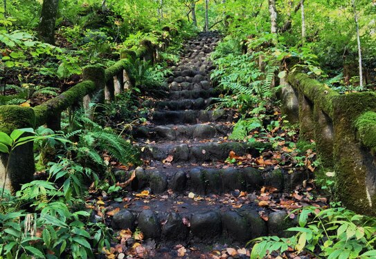 Beginning and end of vegetation-covered stairway, Oirase Gorge, Aomori Prefecture, Japan