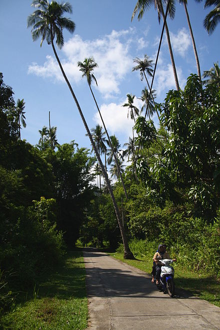 A motorbike on one of the roads on Tioman