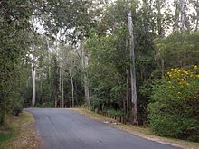 Murray's Road, 2016 Murrays Road, Tanah Merah, Queensland.jpg