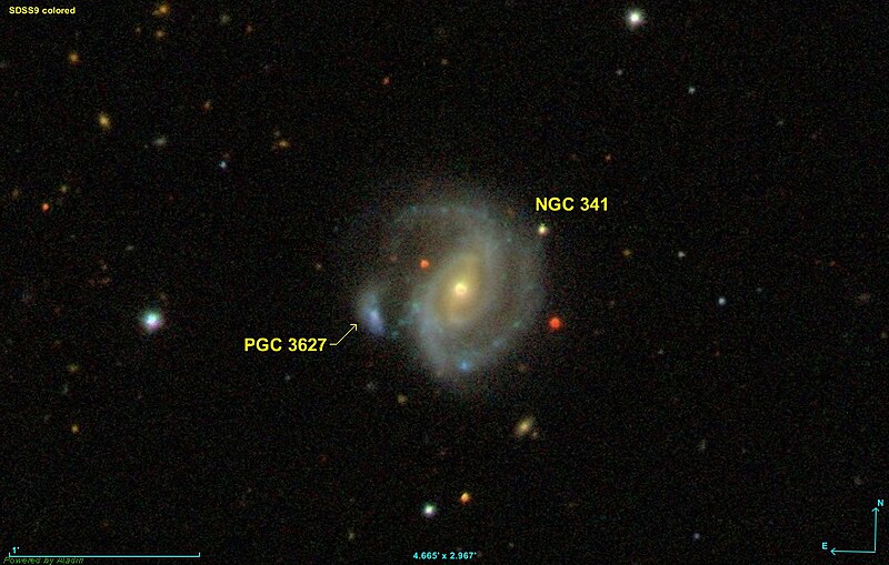 File:NGC 0341 SDSS.jpg