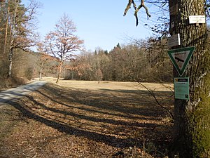 Forest meadow in Mahdental - looking east