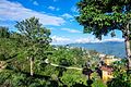 Natural beauty of ilam,Nepal image 018.jpg