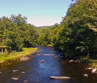 <span class="mw-page-title-main">Neversink River</span> River in New York, United States