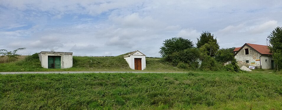 Niedersulz (Gemeinde Sulz im Weinviertel)