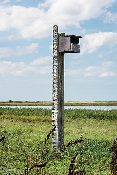 File:Nieuwe Zeedijk Holwerd. 14-08-2023. (actm.) 03.jpg