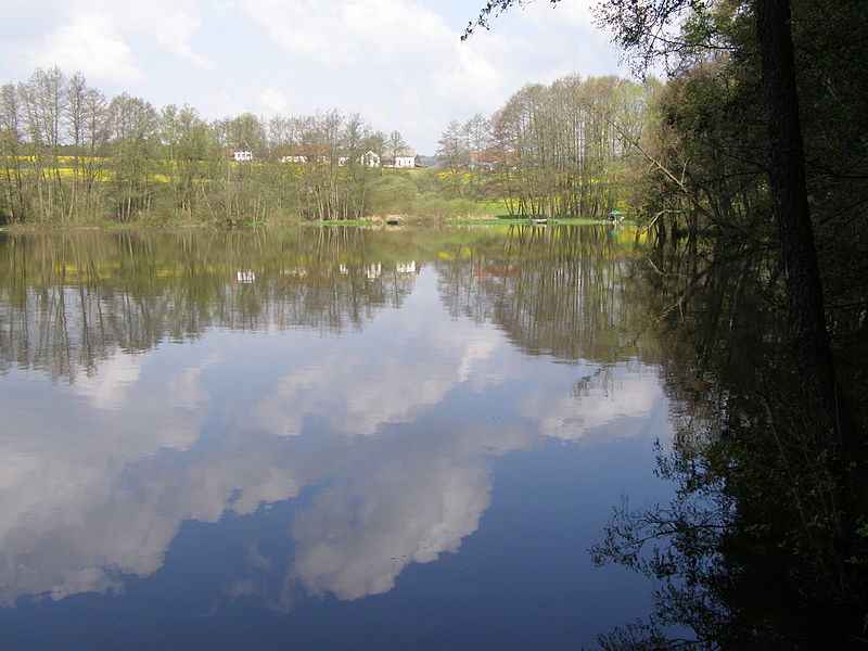 File:Odlezelské jezero - severní břeh.JPG