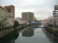 神奈川県 大岡川: 概要, 歴史, 環境