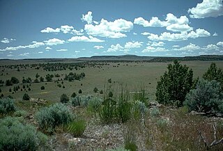 High Desert (Oregon) a region of the U.S. state of Oregon