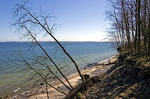 Blick auf den Strand und die Ostsee unterhalb des Brodtener Ufers