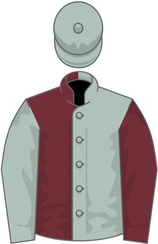 <span class="mw-page-title-main">Rag Trade (horse)</span> British-bred Thoroughbred racehorsee