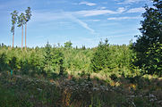 Čeština: Přírodní park Terezské údolí, okres Olomouc