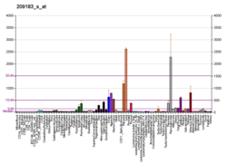 PBB GE C10orf10 209183 s bei fs.png