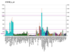 PBB GE TIMM13 218188 s در fs.png