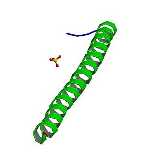 <span class="mw-page-title-main">Apc, wnt signaling pathway regulator</span> Mammalian protein found in Homo sapiens