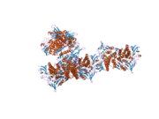 1zmc: Crystal Structure of Human dihydrolipoamide dehydrogenase complexed to NAD+