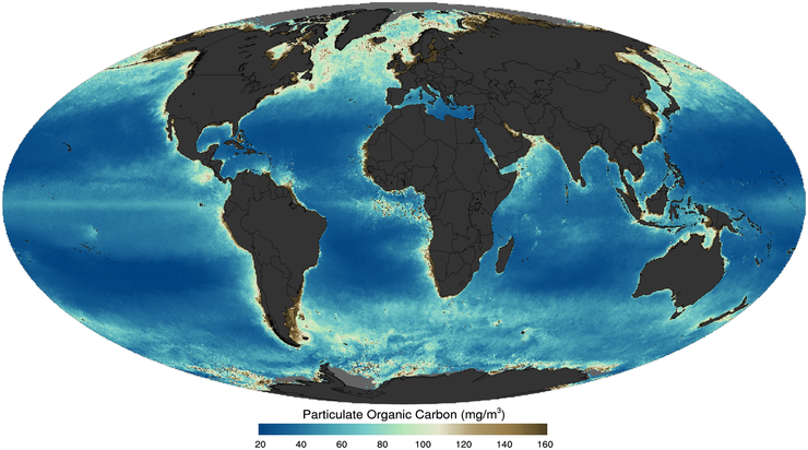 Ocean particulate organic matter (POM)as imaged by a satellite in 2011