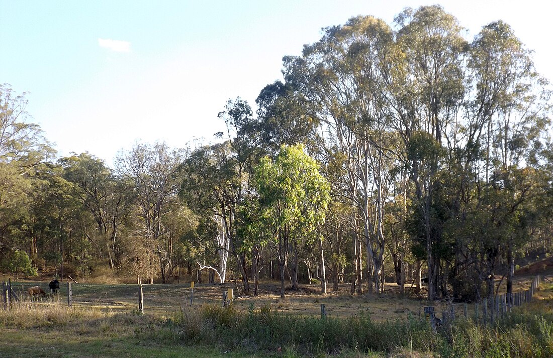 Perseverance, Queensland