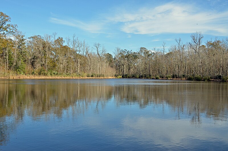 File:Palmetto Island State Park.jpg