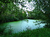 Čeština: Rybník ve vsi Pazderná Lhota v okrese Benešov ve Středočeském kraji. English: Pond in the village of Pazderná Lhota,Benešov District, Central Bohemian Region, Czech Republic.