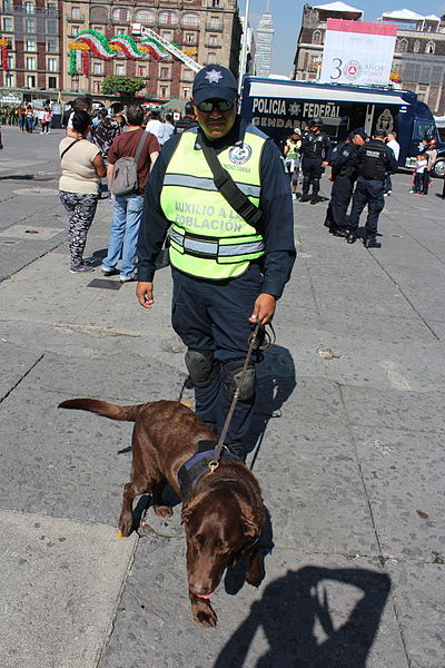 File:Perro y policía federal.JPG