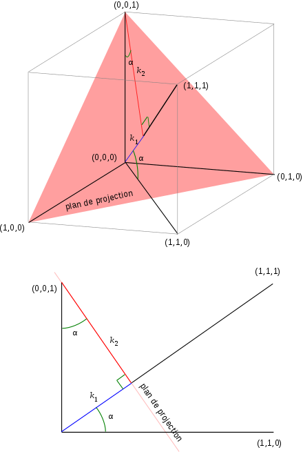 Perspectiva axonomètrica: proporció de les mesures.