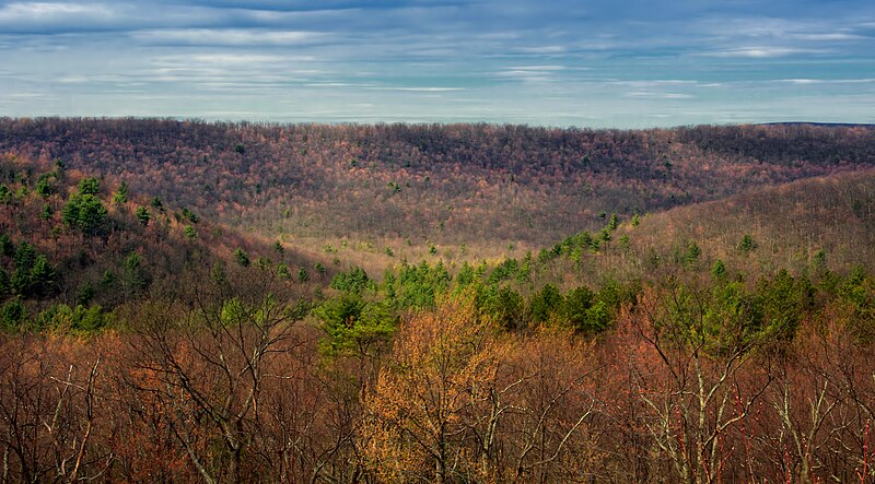 File:Phenology (2) (8650030563).jpg