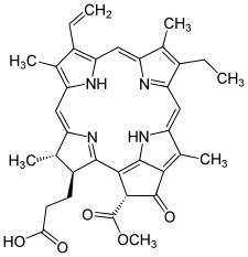 Pheophorbide a.svg