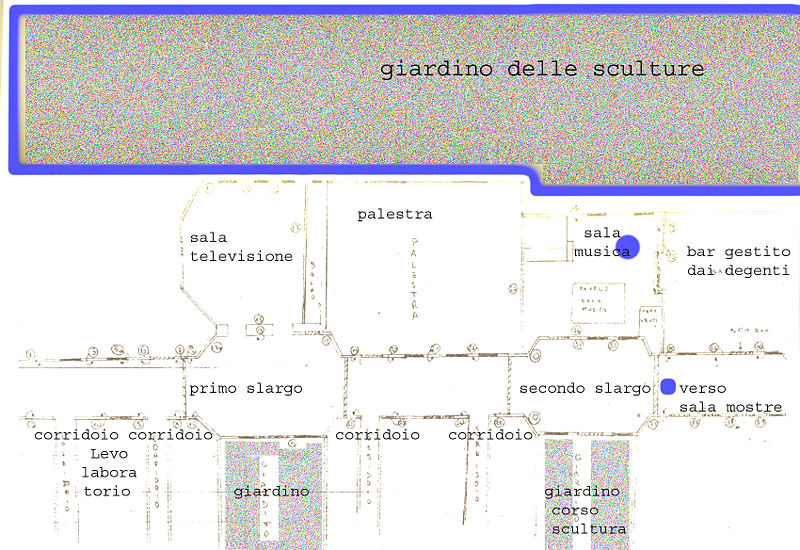 File:Piantamuesattivocosta.jpg