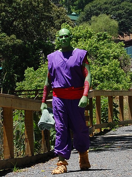 File:Piccolo Cosplay dragonball glasses.jpg