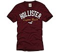 Miniatura para Hollister Co.