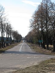 DW682 w pobliżu Turośni Dolnej, widok w kierunku Łap - stan sprzed modernizacji trasy z l. 2019-2020